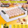 60W 24 Egg Newest Farm Incubator Automatic Chicken Egg Incubator Hatchery Poultry Brooder Equipment