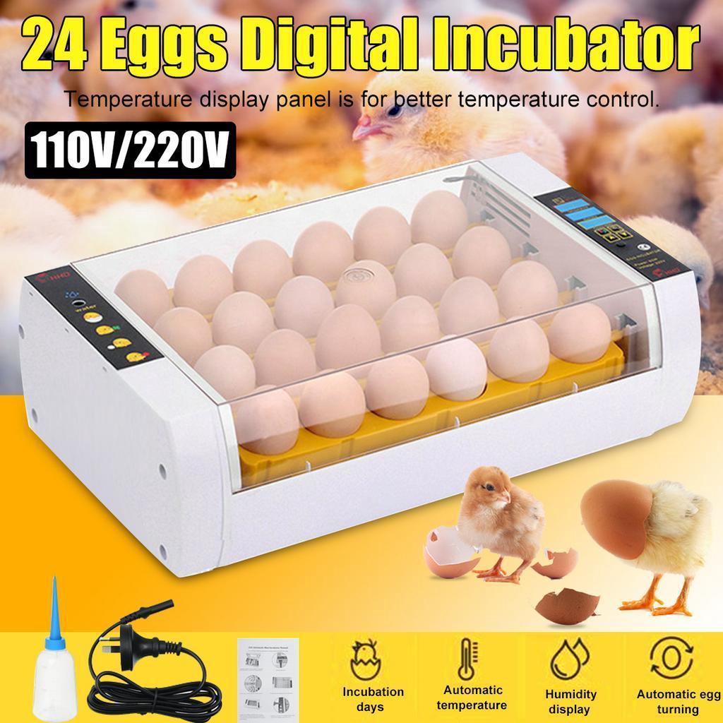 60W 24 Egg Newest Farm Incubator Automatic Chicken Egg Incubator Hatchery Poultry Brooder Equipment