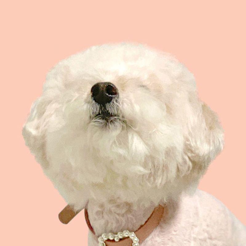 MAISON DE MIU Herz Perlenkragen_Rosenrosa