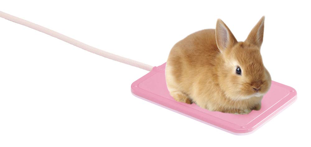 Minimal Land Hot Usa Warm Reversible Heater, Medium