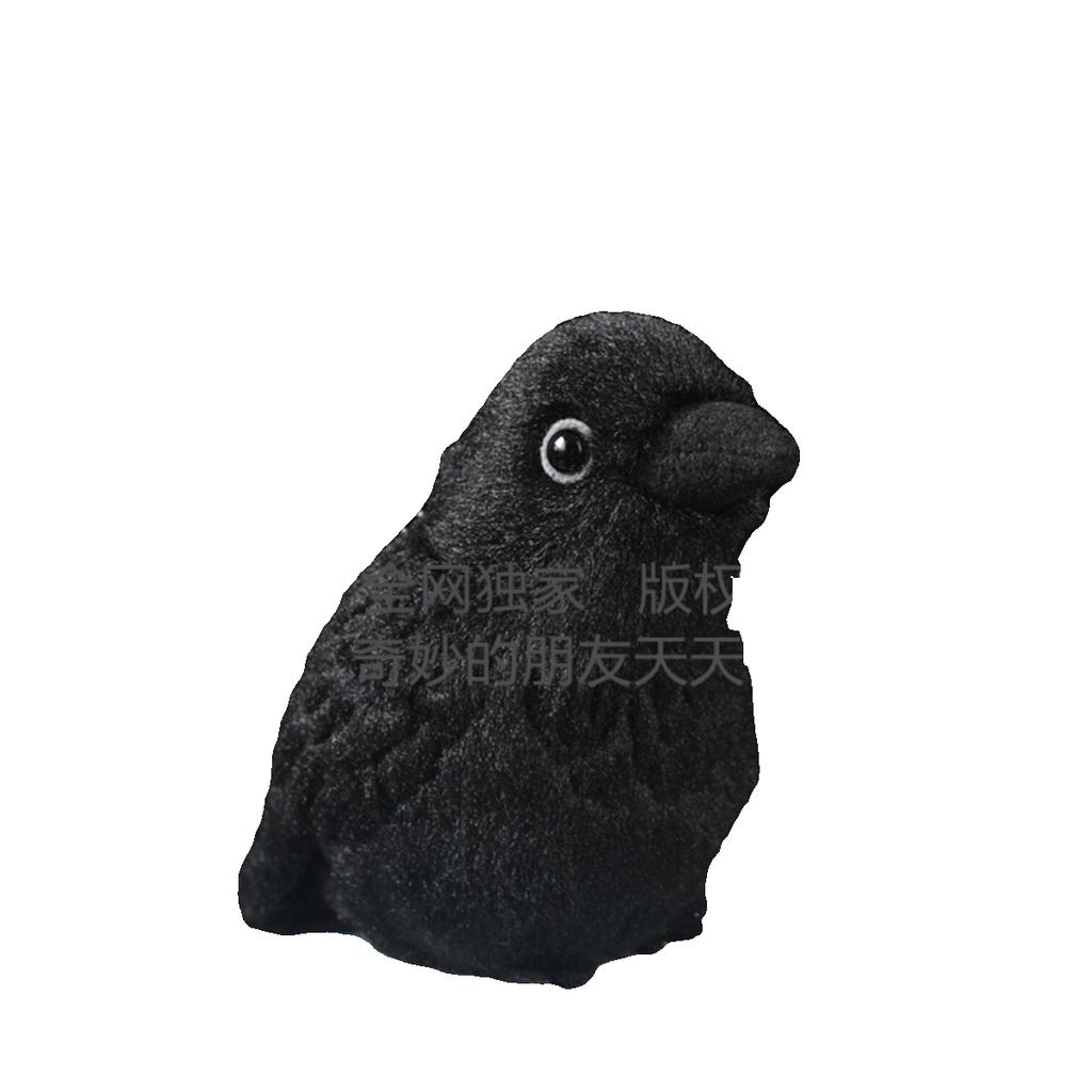 Unboxing Crow Plush Toy Adorable Realistic Crow Ornament Kids Girl Birthday Gift