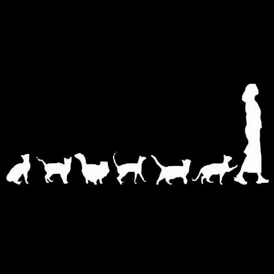 Niedliche Katzen folgen Lady Auto-Styling Fahrzeugkarosserie Fenster reflektierende Aufkleber Aufkleber