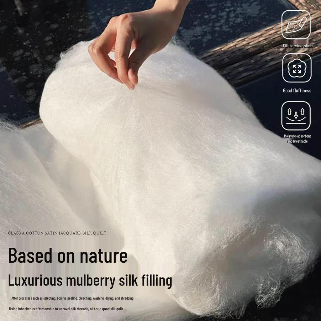 All-Cotton Thickened Mulberry Silk Quilt - Warm, Breathable, Jacquard Satin for All Seasons