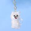 Transparent Dog Fur Storage Pendant Fur Storage Capsule DIY Accessories Portable Souvenirs Keychain Handmade Design