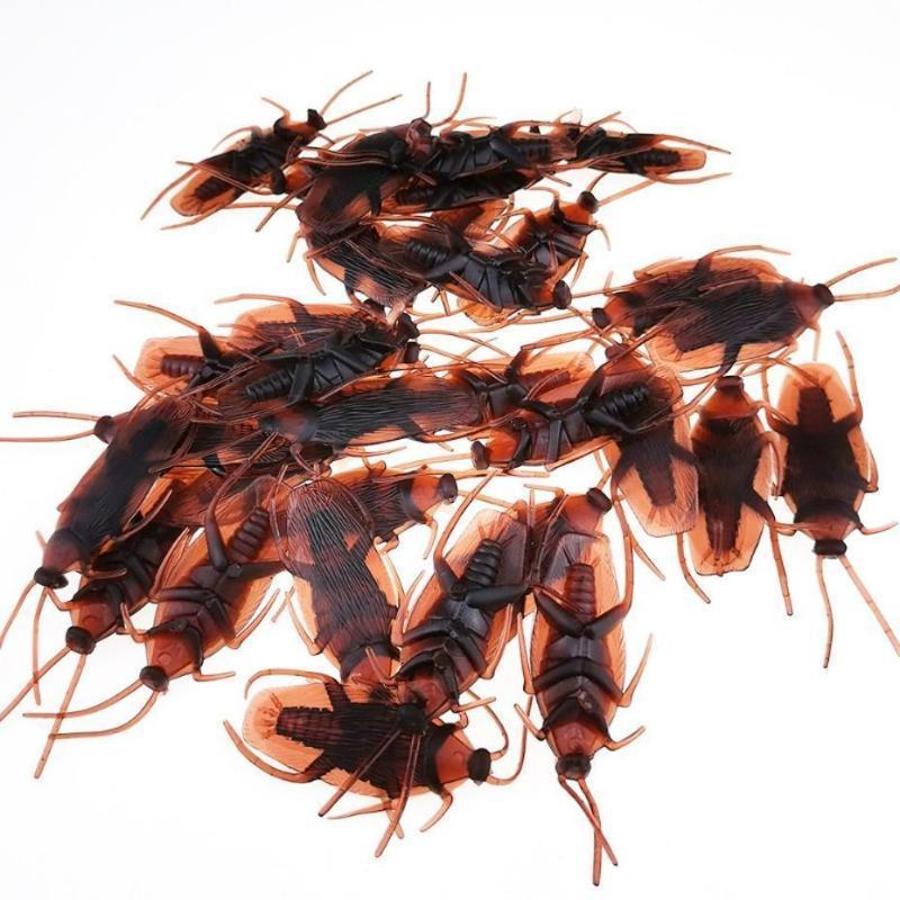 Creative Scary Fake Cockroach Toys 10Pcs Realistic Simulation Insect Prank Tools Creative Ornaments For Party Horror Decor