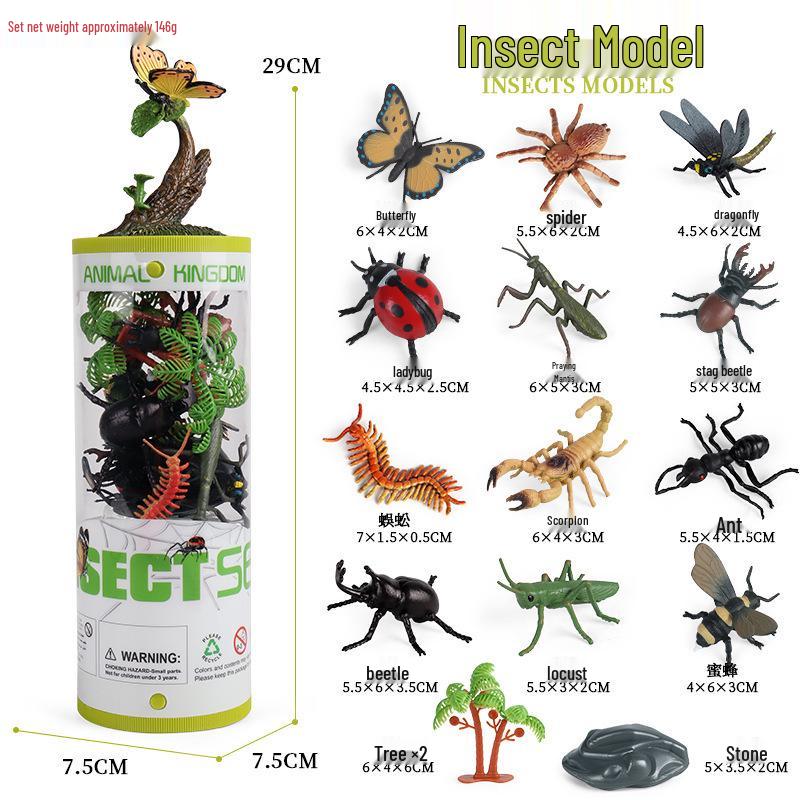 Frog Life Cycle Model Set: Tadpole to Frog Educational Toys for Kids