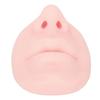 Silicone Nose Model with Mouth Flexible Soft Imitation Nose Model Reusable Nose Displays for Teaching