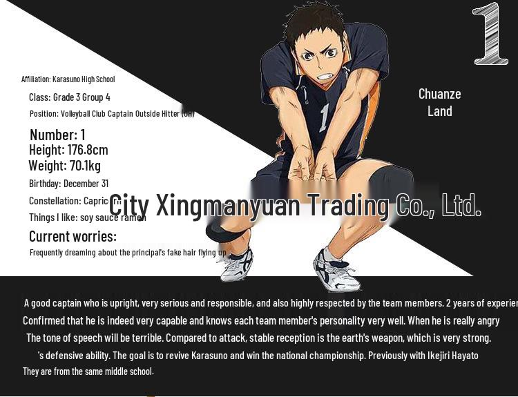 Haikyuu!! Cosplayový dres volejbalového týmu střední školy Karasuno