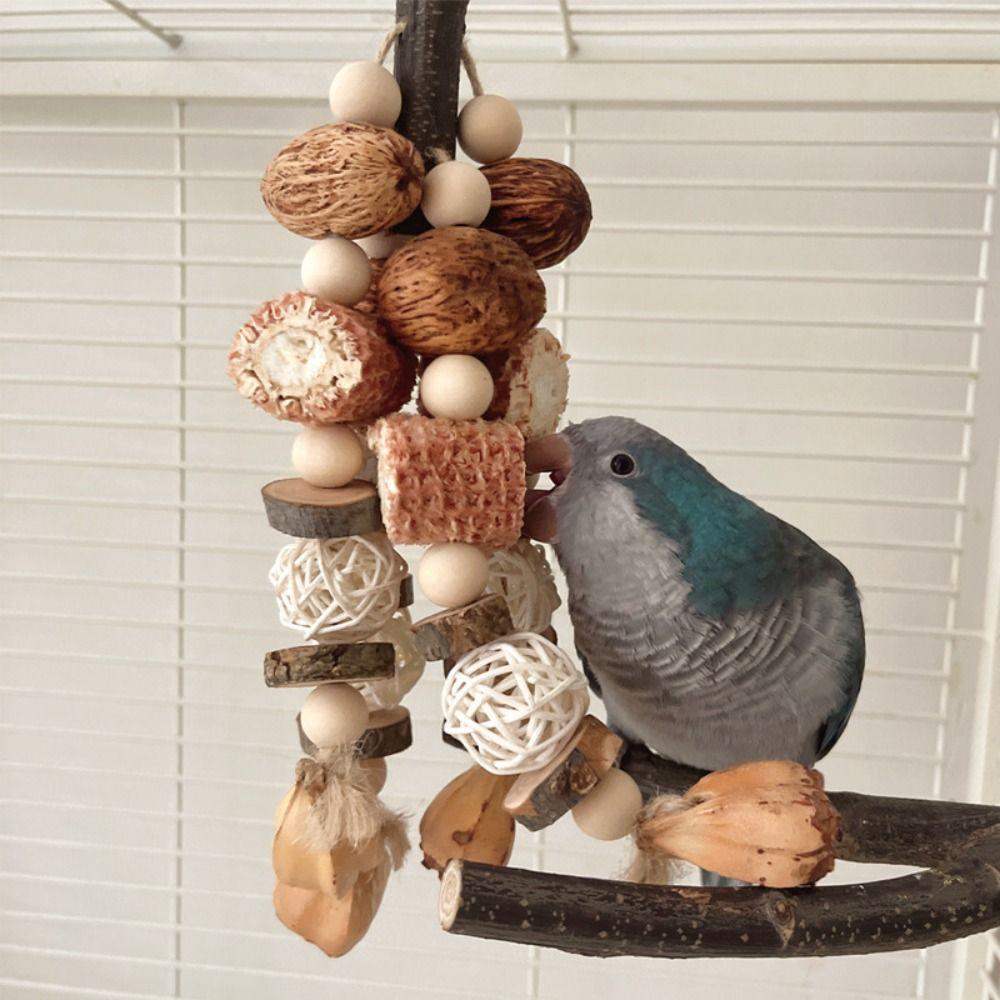 Natural Wood Bird Wood Nut Toy Corncob Bite Training Toy Parrot Chewing Toy  For Birds