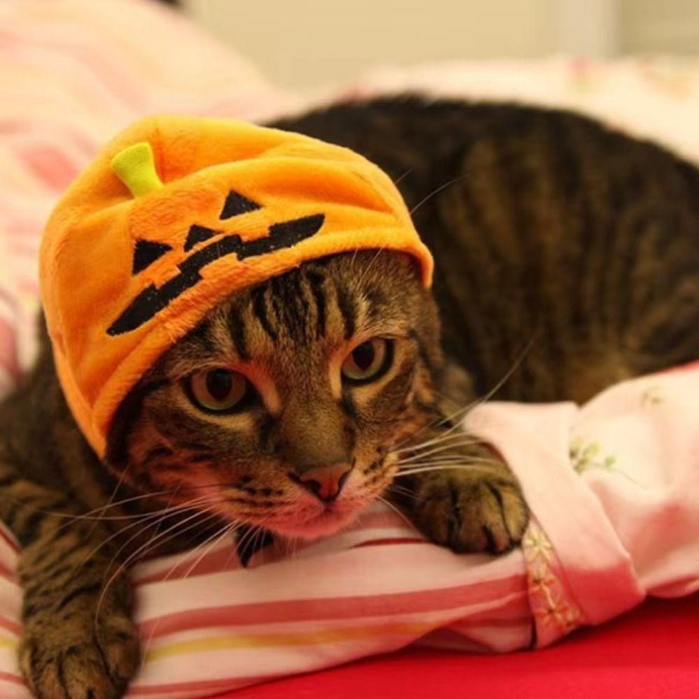Dress Up Pet Halloween Hat Headdress Plush Cat Headgear Headdress Pumpkin Dogs Hat  Costume