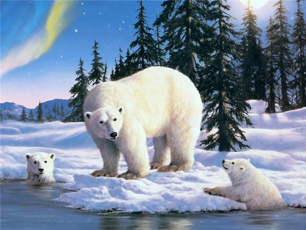 Full Square/round Diamond Painting Embroidery Polar Bear Home Decor Mosaic Cross Stitch Arctic Animal Wall Sticker