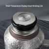 TOMIC Pure Titanium Insulated Tea Pot