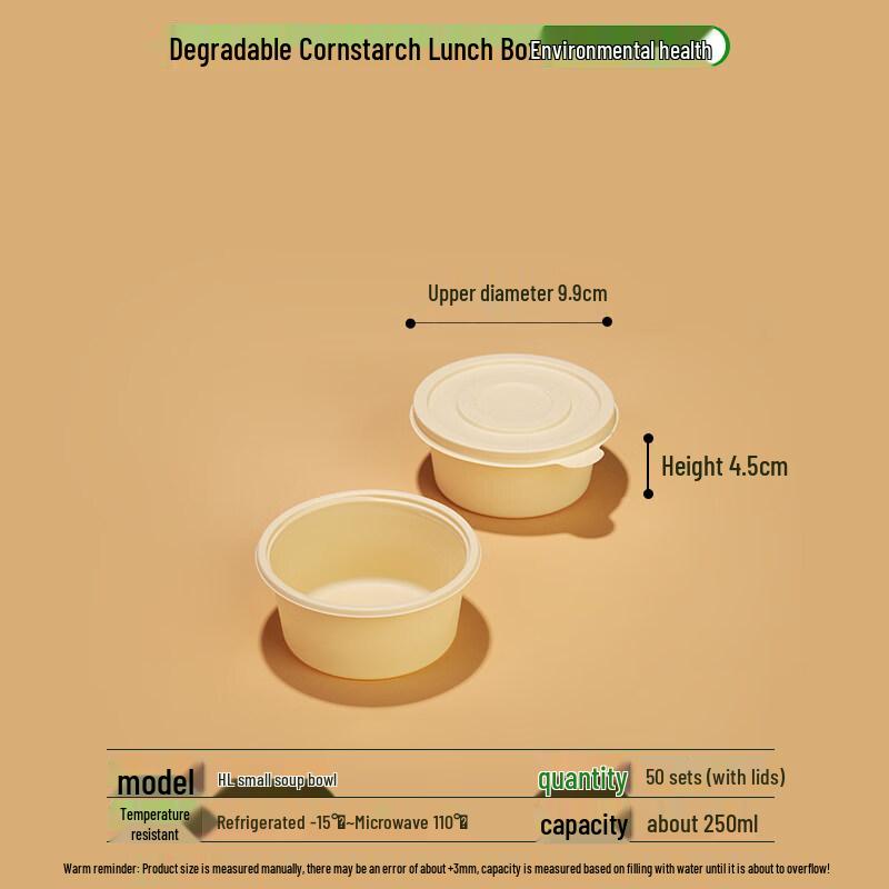 ZISIZ Biodegradable Disposable Takeout Lunch Box