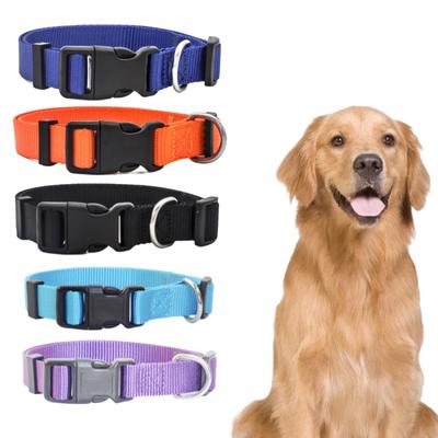 Ayarlanabilir Evcil Hayvan Tasması Naylon Yavru Köpek Kedi Tasması Güçlü ve Dayanıklı Boyun Bandı Küçük ve Orta Boy Köpekler ve Kediler İçin Uygundur