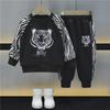 Boys' 2023 Winter Velvet Track Suit: Stylish Stitching Round Neck Sweatshirt and Sweatpants Set for Kids