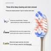 Shuke Anti-Stain Medium Bristle Toothbrush (2-Pack)