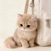 Schattige Cartoon Kittens Hanger Kat Sleutelhanger Metalen Clip Pluizige Textuur Zacht Realistische Kitten Vorm Tas Hanger Dier Sleutelhanger Cadeau