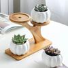 Unique Tree Branch Shaped Succulent Pot Stand Wooden Desktop Succulent Plant Pots Holder Flowerpots for Windowsill Tabletop Decor