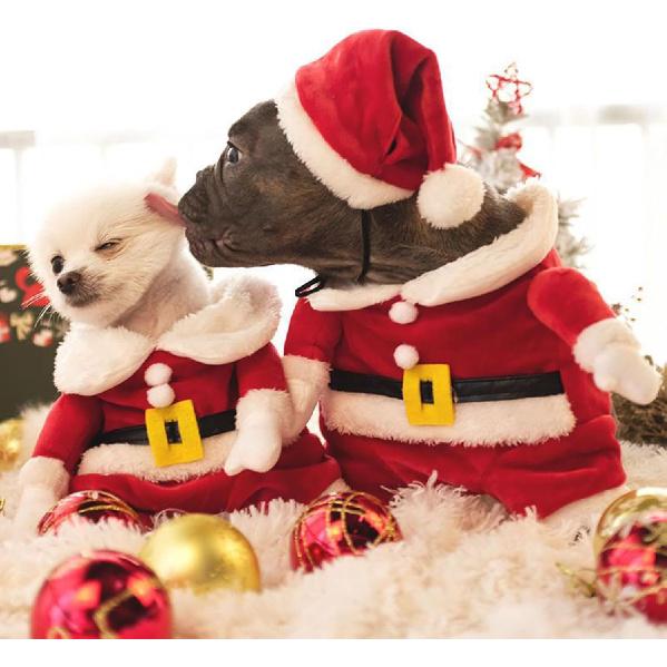 Pet Dogs Clothes Small Pet Festival Costume with Santa Claus Hat Doggy Winter Warm Clothes Outfit Photo Props Suit