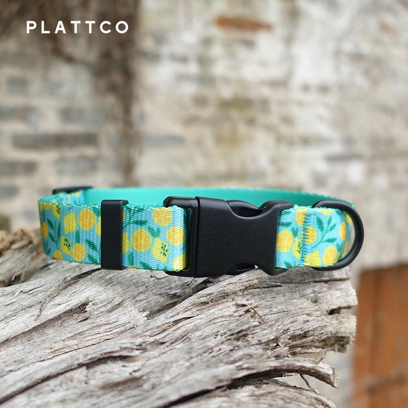 PLATTCO Soft Nylon Pet Collar - Fruit Series, Style PDC329 XL 2.5cm x (56-62cm)