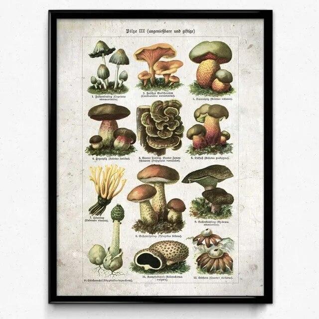 Botanische Blume Pilz Obst Leinwand Gemälde Wildpflanze Pilz Poster und Druck Wandkunst für Wohnzimmer Wand Dekor Cuadros