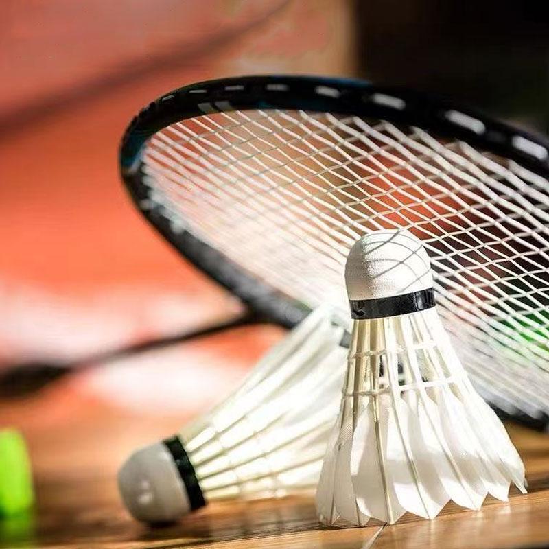 12pcs Hight Speed Training Badminton Balls with Great Stability Badminton Shuttlecock Birdies for Indoor Outdoor Sport Feather