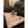 Soft Flannel Thickened Pet Soft Fleece Pad Pet Blanket Bed Mat for Puppy Dog Cat Sofa Cushion Home Rug Keep Warm Sleeping Cover