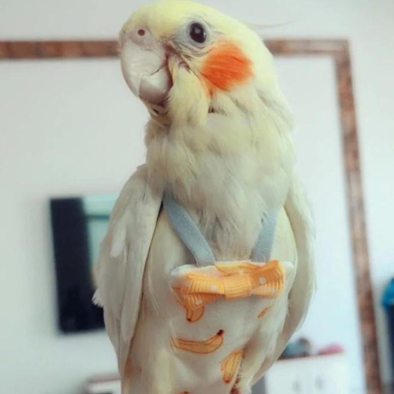 Parrot Diaper with Bowtie Cute Colorful Fruit Floral Cockatiel Pigeons Small Medium Large Pet Birds Flight Suit Clothes Washable