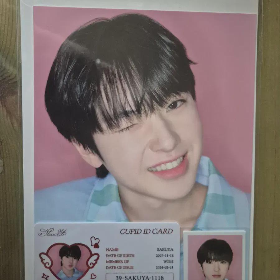 

Простое открытие Nct Wish Сакуя Набор фотографий Устойчивый ID-карта Фото на ID MD