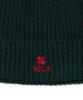 AECA Aeca Clover Logo Beanie-Green