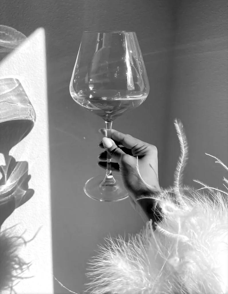 Modern Black White Fashion Women Doberman Spaniel Champagne Luxury Poster Canvas Paintings Wall Art Pictures Home Decor