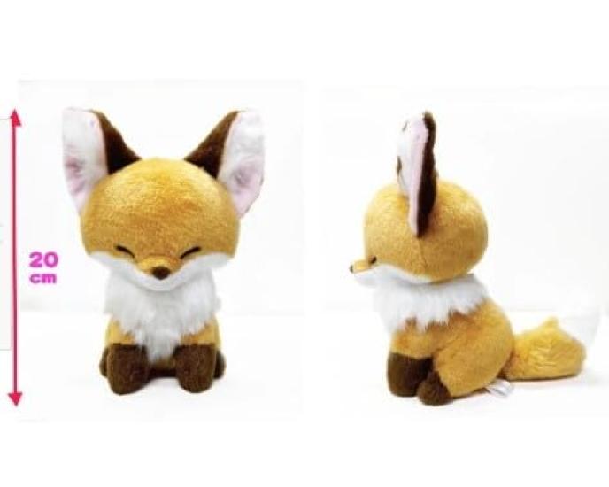 AMUSE Chokon and Fox ST Kinako Plush Toy Height 20cm 703867 (Orange) Approx.