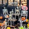 Halloween Human Skeleton Decoration for Party and Scene Layout