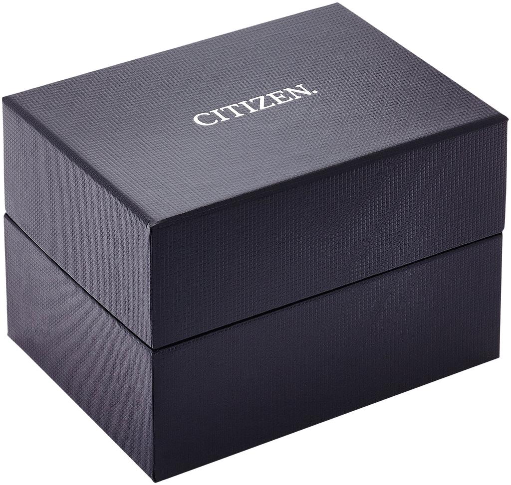 Citizen Exceed EUROS Series Pair Watch Multicolor ES1054-58W