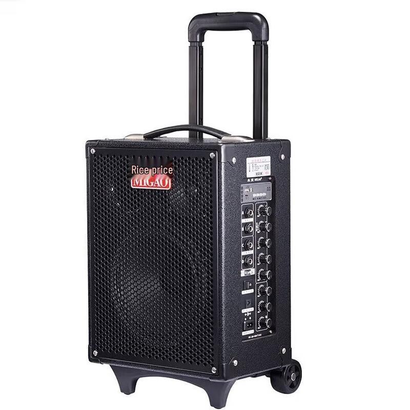 MiGao MG820A-LI Portable Outdoor Instrument Speaker