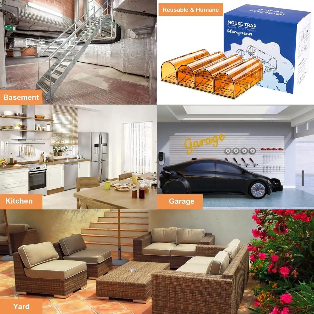 1Pc Trappola per topi Gabbia per il controllo degli animali domestici No Kill Gabbia riutilizzabile per topi Cattura roditori Trappola per topi