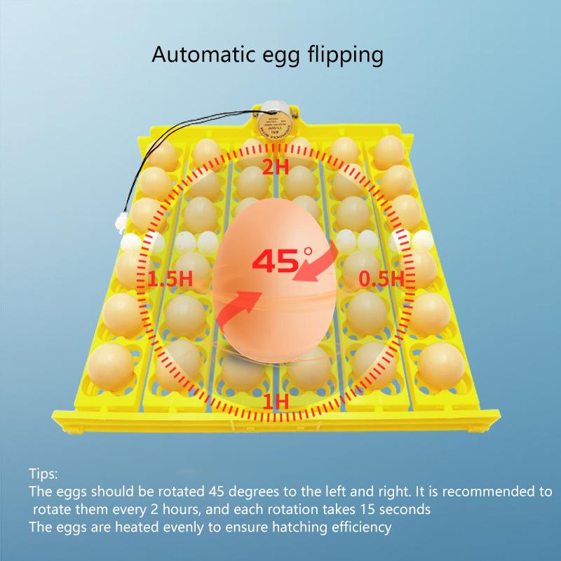 24/36 Grid Eggs Incubator Eggs Automatic Incubator Motor Turn Tray Poultry Incubation Equipment Farm Poultry Hatching Device