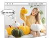 Kreatives Buntes Kürbis Plüschtier Kissen: Weihnachtsdekoration & Geschenk