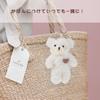 HSE Kanamaru Shoten Bären-Plüsch Schlüsselanhänger Taschenanhänger Geschenk für Männer und Frauen, Geburtstagsgeschenk für Paare (Herz Rosa + Blau Paar)