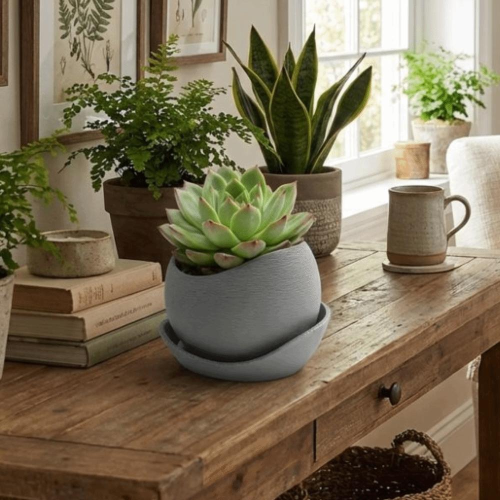 with Drainage Holes Succulent Plant Pots Plastic Creative Planter Irregular Flower Pot  Office Desk