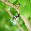 12cm Simulation Dragonfly Outdoor Mosquito Repellent Insect Model Garden Hanging Ornaments