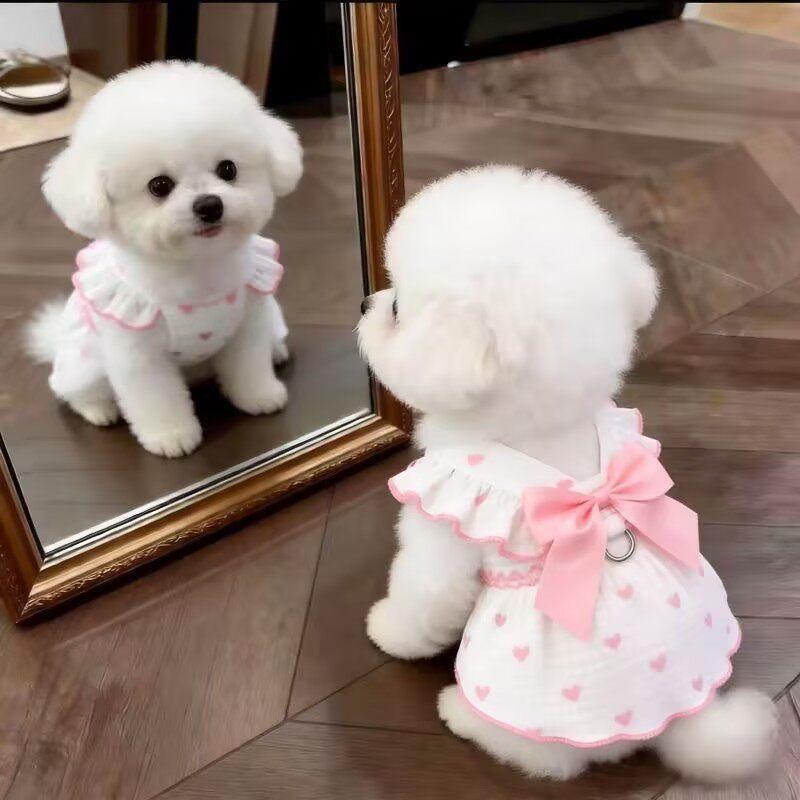 Sun Protection Lace Off-Shoulder Dress Thin Dog Princes Dress Flower Print Princess Skirt Anti-Static Puffy Skirt Small D...