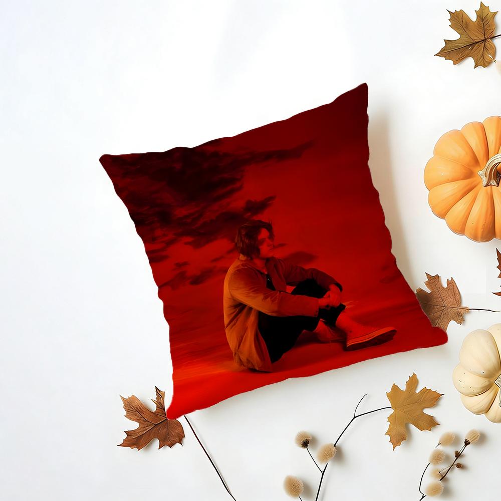 Intense POP Singer LLewis Capaldi Cushion Cover Washable Linen Pillowcase Soft  for Daily Sofa Bed Home Room Decor