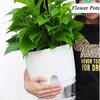 Vnitřní Dvouvrstvé automatické zavlažování zahradní potřeby Zelený kopr Kancelářské sukulenty Hydroponické květináče Sázecí květináče Domácí dekorace