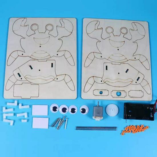DIY Bionic Crab Robot Kit for Kids - Hands-On Science & Physics Exploration