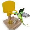 Pet Bird Parrot Funny Basketball Shoot Hoop Balls Puzzle Game Chew Play Toy