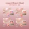 Bisse Layered Fully Cheek Blusher RD-7 Dahlia Red