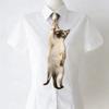 Funny Cat-shaped Tie Unique Novelty Necktie Gift Animal Pattern Tie  Wedding Events