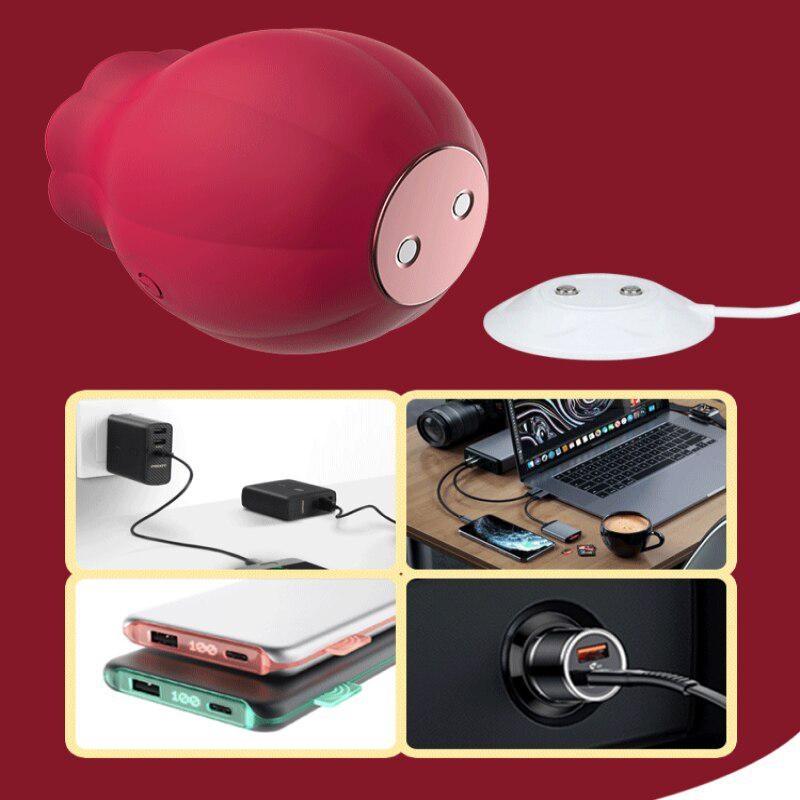 Weibliches Spielzeug Rose Vibrator Lady Saugvibrator 10 Modi Erwachsenenspielzeug