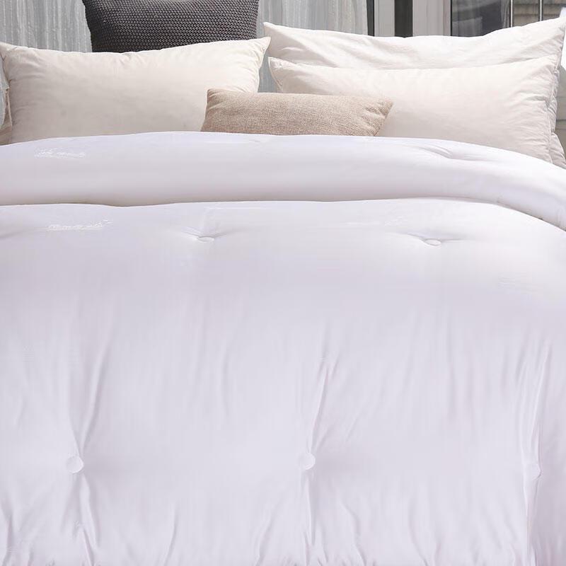 

Yiyiai Thickened Milk Velvet Winter Duvet Insert